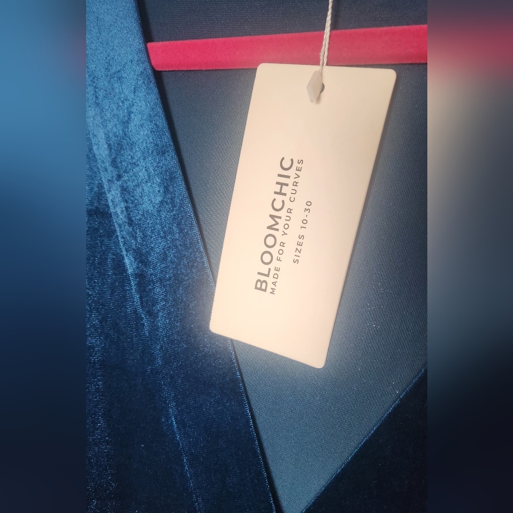 Elegant Blue Velvet Dress - Picture 2 of 7